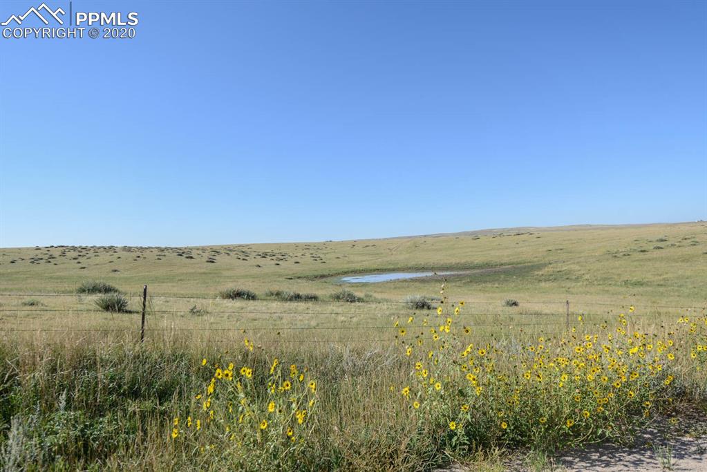 0 Holtwood Road Ramah, CO 80835 - Photo 11 of 13