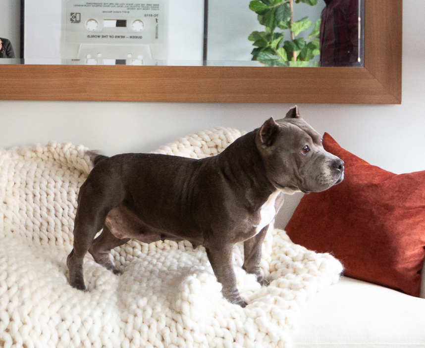 270 12th Street, Unit 2 Brooklyn, NY 11215 - Photo 9 of 17