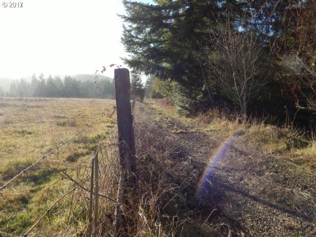 0 Fat Elk Road Coquille, OR 97423 - Photo 3 of 4 Gallery Image 3