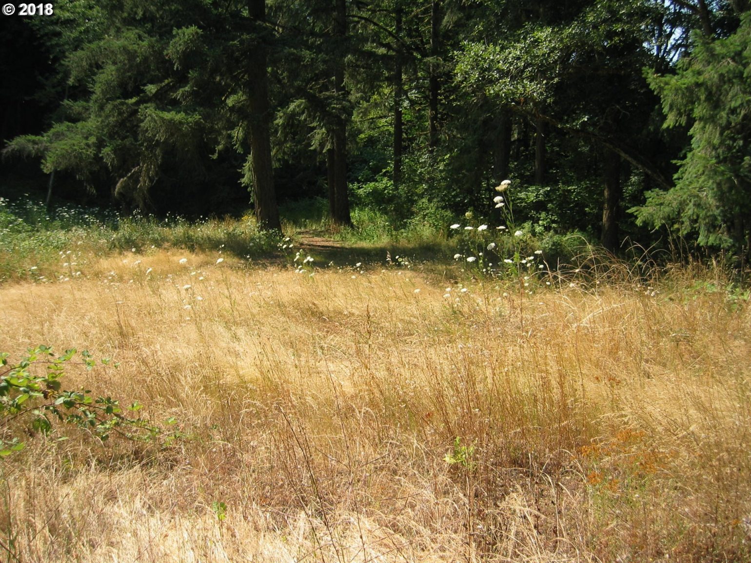 76161 Booth Kelly Camp Road Dorena, OR 97434 - Photo 28 of 30 Gallery Image 28