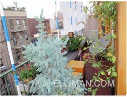 14 Prince Street, Unit 6C Manhattan, NY 10012 - Photo 4 of 5