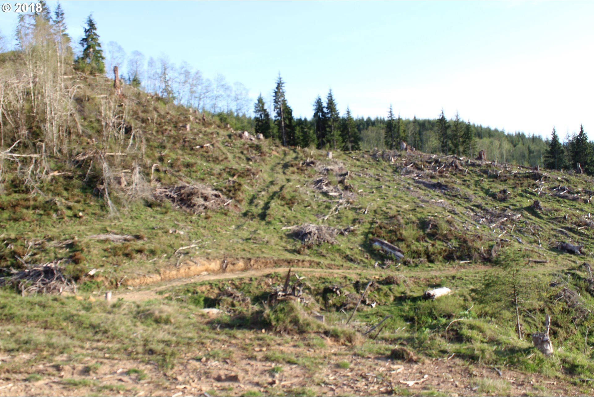 Elochoman Valley Cathlamet, WA 98612 - Photo 10 of 26