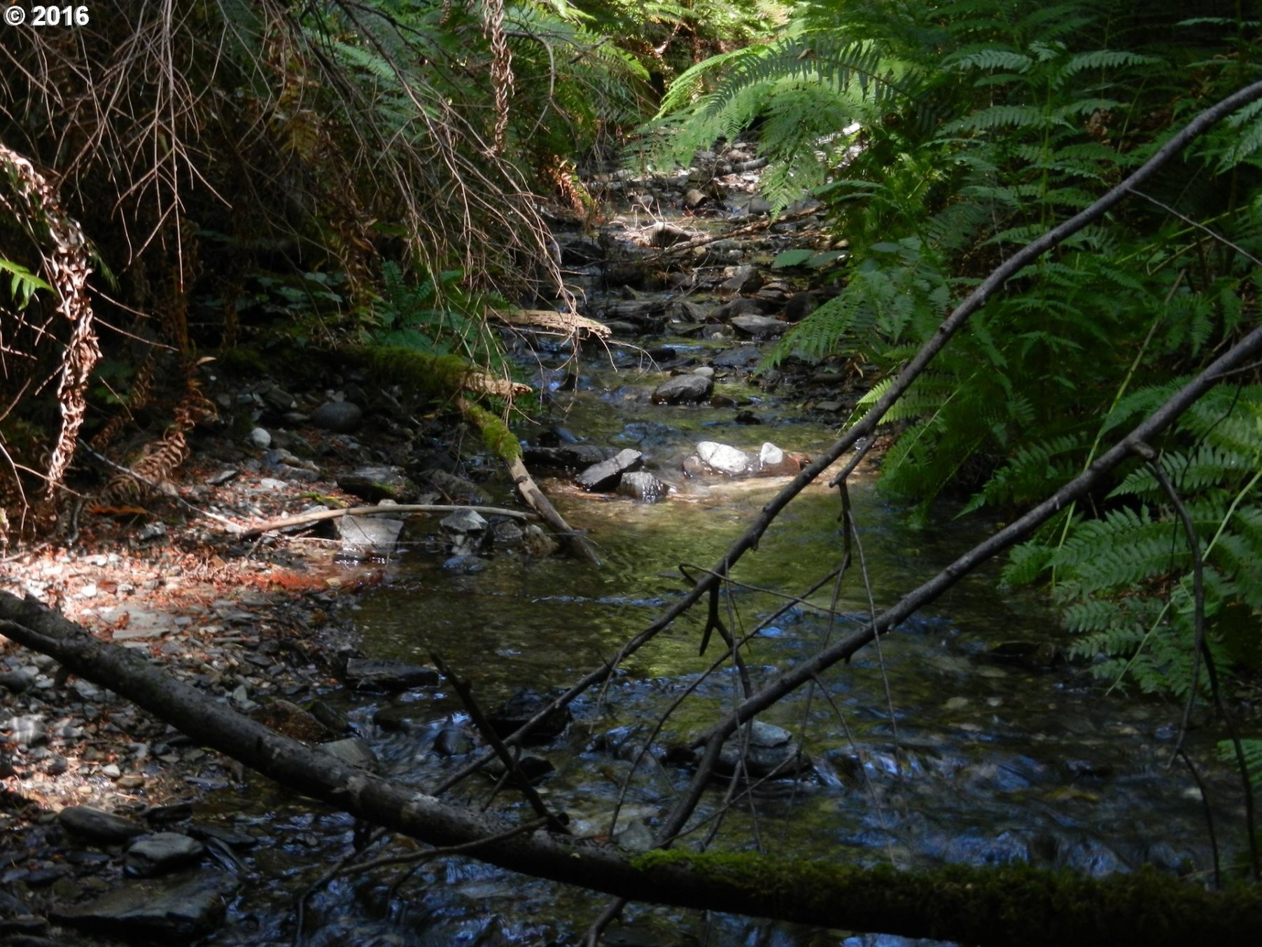 Silver Creek Road, Unit 4 Agness, OR 97406 - Photo 16 of 17 Gallery Image 16