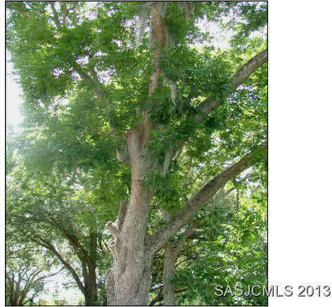 2785 Schaller Road St. Augustine, FL 32084 - Photo 21 of 22 Gallery Image 21