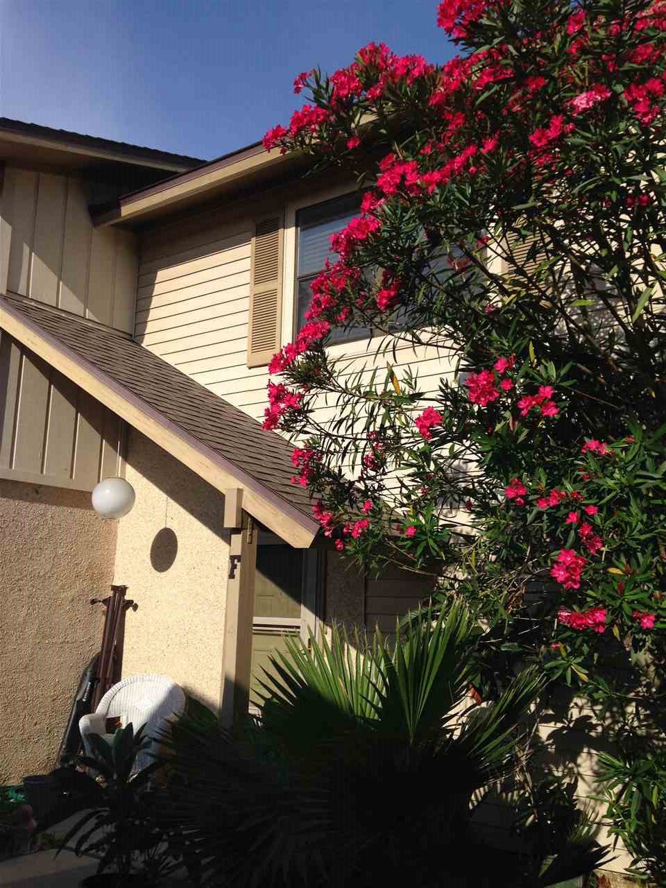131 Rio Del Mar Street, Unit F St. Augustine, FL 32080 - Photo 8 of 8 Gallery Image 8