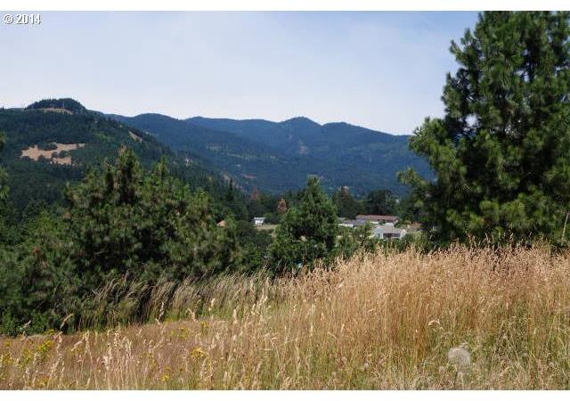 1145 Rodeo Drive White Salmon, WA 98672 - Photo 1 of 16 Gallery Image 1
