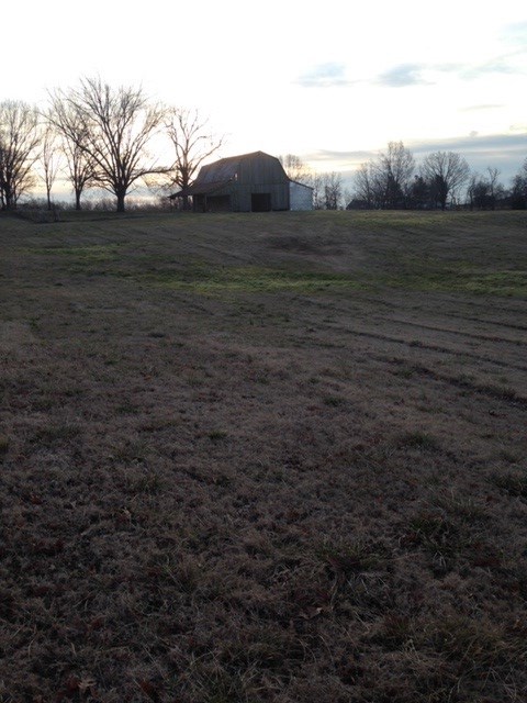1871 Curve Woodville Road Ripley, TN 38063 - Photo 17 of 24