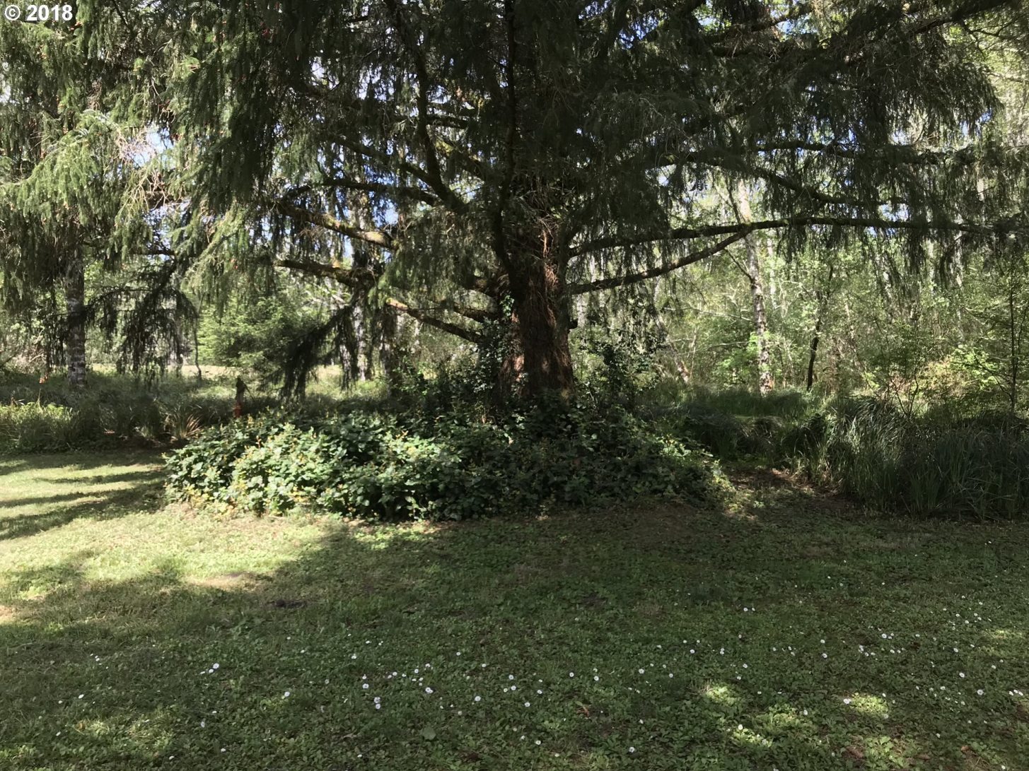 32618 Sandridge Road Oysterville, WA 98641 - Photo 5 of 17 Gallery Image 5