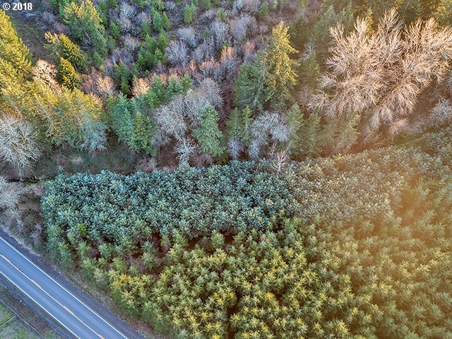 0 South Springwater Road Oregon City, OR 97045 - Photo 18 of 25