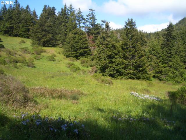 Grizzly Mountain Road, Unit 3B Gold Beach, OR 97444 - Photo 3 of 24 Gallery Image 3