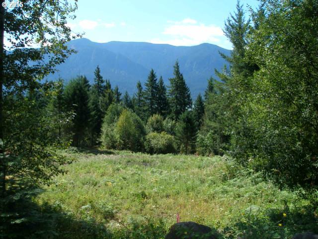 Maple Way Road, Unit 1 Stevenson, WA 98648 - Photo 1 of 7
