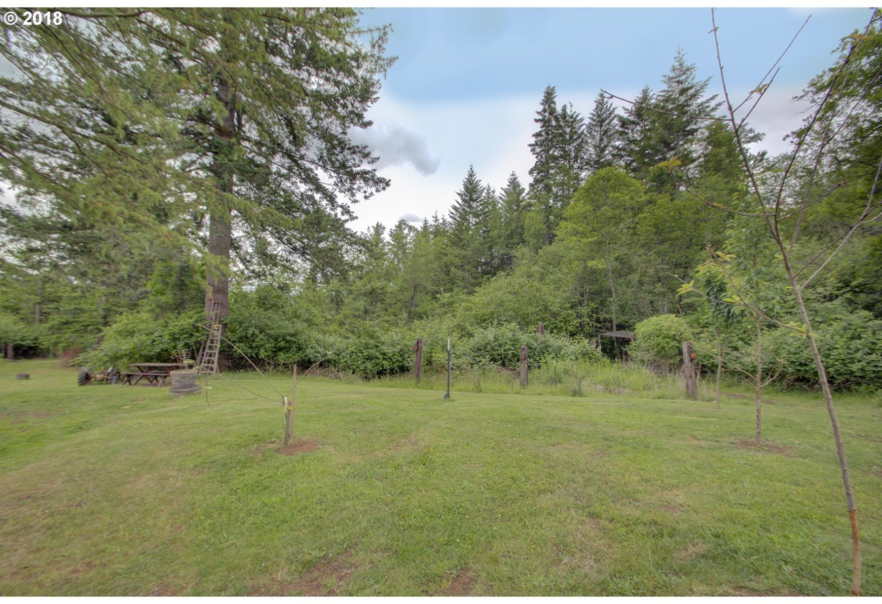 5807 Northeast Lessard Road Camas, WA 98607 - Photo 4 of 31