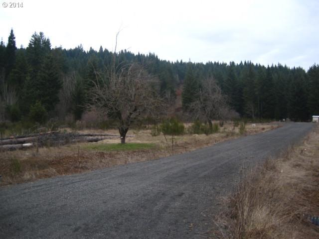 Myers Road White Salmon, WA 98672 - Photo 4 of 4 Gallery Image 4