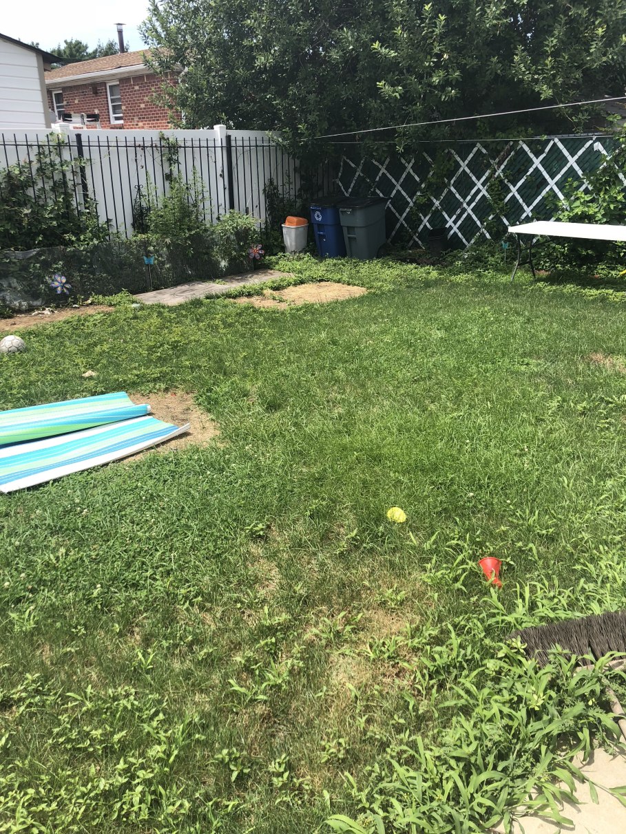 134-32 161 Street Queens, NY 11434 - Photo 6 of 8