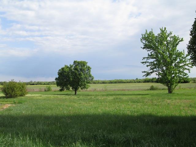 116 Big Springs Road Bell Buckle, TN 37020 - Photo 24 of 30 Gallery Image 24