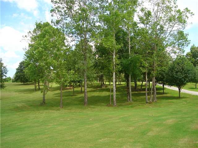 770 Thompson Bottom Road Whiteville, TN 38075 - Photo 22 of 25 26.45 acres of manicured open land with a blend of woods.