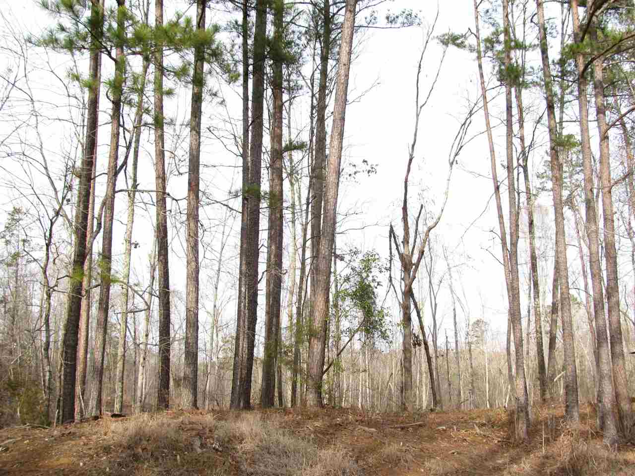 30 A Centerview Road Savannah, TN 38372 - Photo 12 of 21