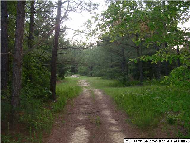 299 Walhill Road Coldwater, MS 38618 - Photo 11 of 12 Gallery Image 11