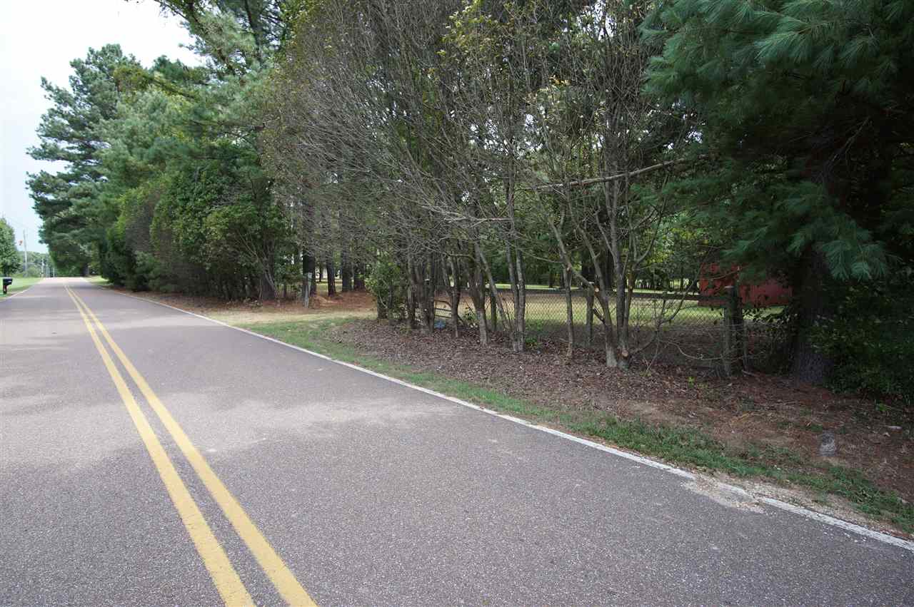 2406 George R James Road Eads, TN 38028 - Photo 5 of 21 Gallery Image 5
