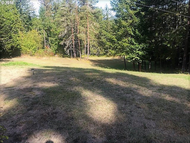 80838 Turkey Run Road Creswell, OR 97426 - Photo 5 of 23