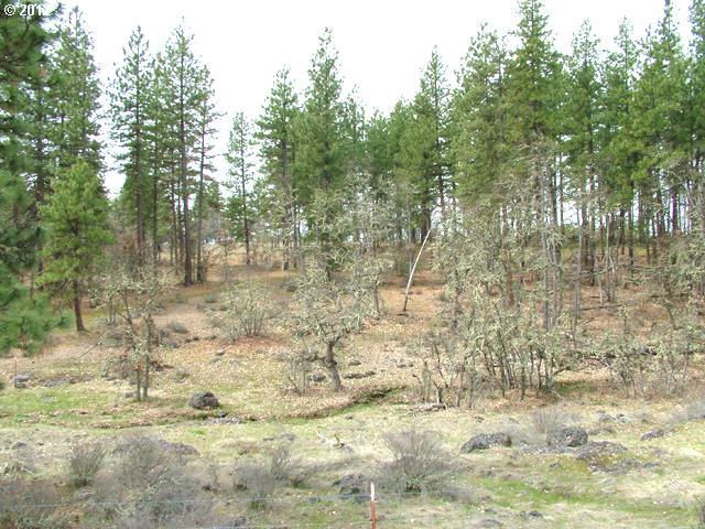 Pine Forest Road, Unit LOT2D Goldendale, WA 98620 - Photo 2 of 15 Gallery Image 2