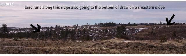 Jensen Quarry Road, Unit 52 Roosevelt, WA 99356 - Photo 4 of 5 Gallery Image 4