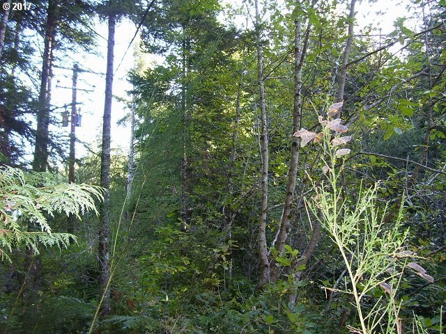 0 Fishtale Road Bandon, OR 97411 - Photo 1 of 1 Gallery Image 1