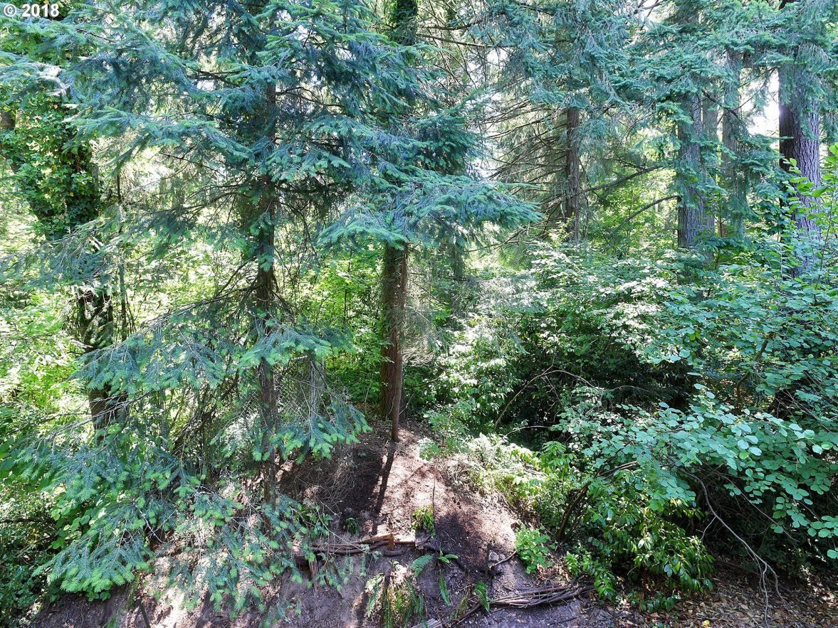 8416 Southwest Oleson Road Portland, OR 97223 - Photo 18 of 19 Gallery Image 18