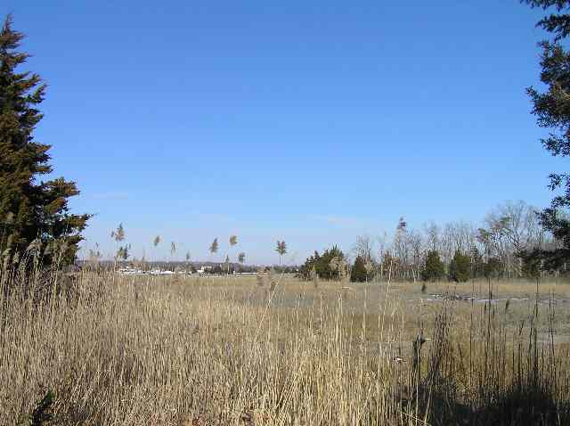 35 Defeo Lane Somers Point, NJ 08244 - Photo 2 of 9 Gallery Image 2