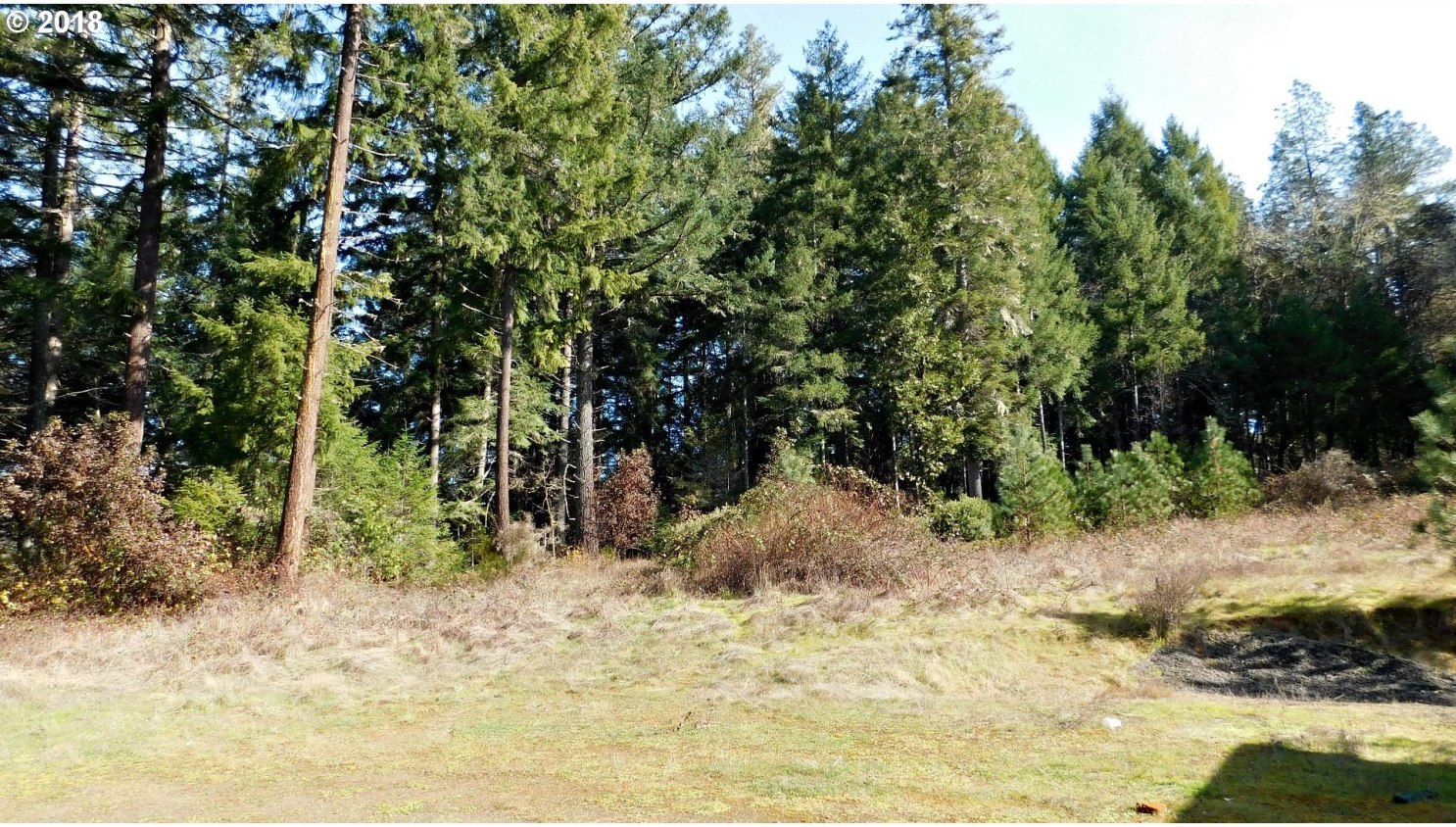 795 Elgarose Road Roseburg, OR 97471 - Photo 10 of 32 Gallery Image 10