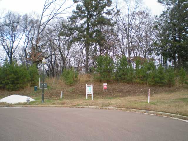 2472 Sanders Ridge Lane Germantown, TN 38138 - Photo 1 of 1