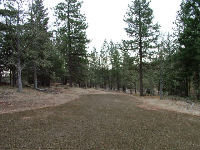Austin Road Goldendale, WA 98620 - Photo 2 of 15 Gallery Image 2
