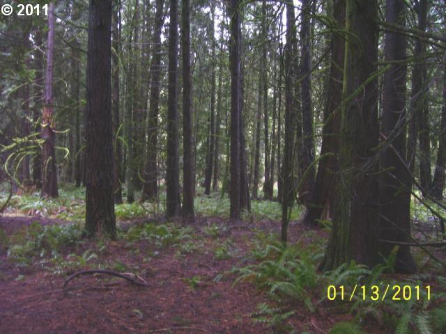 23880 Southwest Rosa Road, Unit 2 Hillsboro, OR 97123 - Photo 4 of 7
