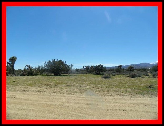 0 Yucca Terrace Road Phelan, CA 92371 - Photo 1 of 1