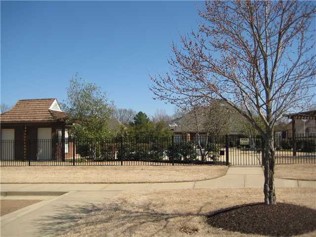 4484 Whisper Spring Drive Collierville, TN 38017 - Photo 22 of 22 Neighborhood Swimming Pool