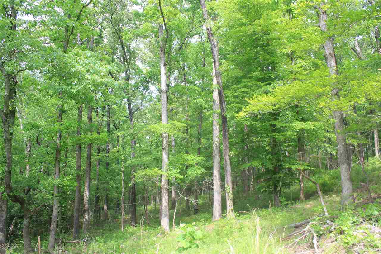 2622 Potts Camp Road Waterford, MS 38685 - Photo 16 of 25 Gallery Image 16