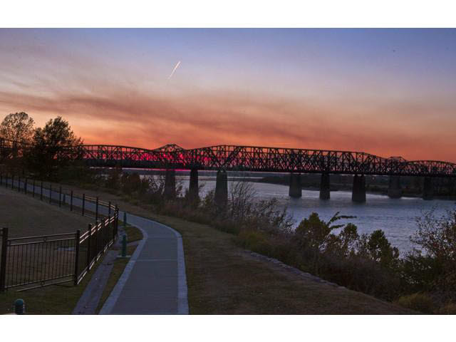 655 Riverside Drive, Unit 305A Memphis, TN 38103 - Photo 25 of 25