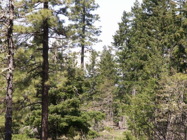2826 Godberson Road Mosier, OR 97040 - Photo 10 of 16 Gallery Image 10