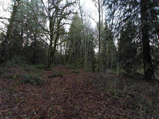 0 Southwest Conzelmann Road Sherwood, OR 97140 - Photo 11 of 15 Gallery Image 11