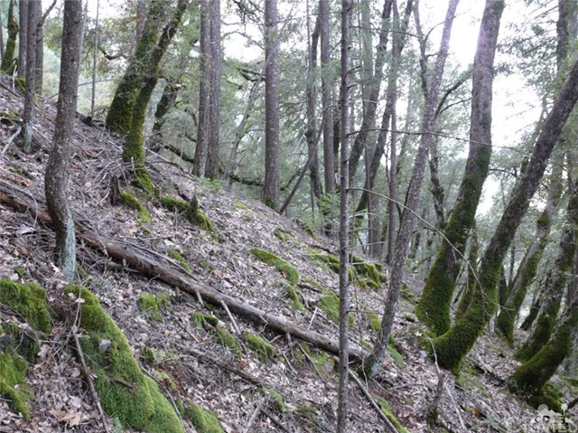 320 Sawtooth Ridge Road Emigrant Gap, CA 95715 - Photo 12 of 14 Gallery Image 12