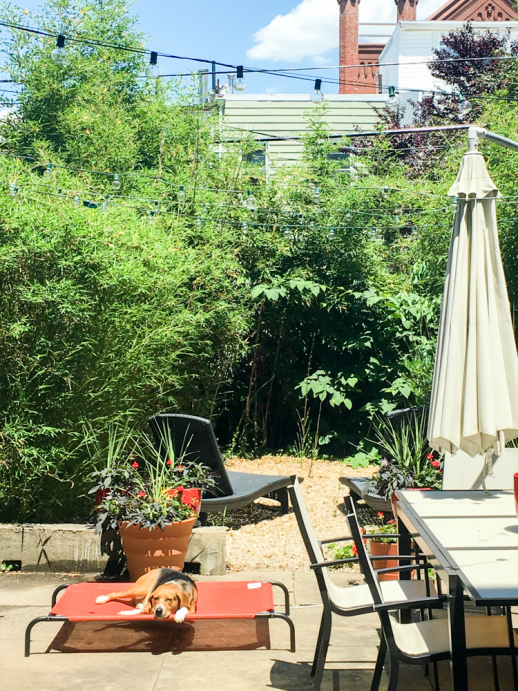 233 13th Street, Unit 1 Brooklyn, NY 11215 - Photo 8 of 10