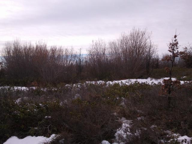 Jensen Quarry Road, Unit 62 Roosevelt, WA 99356 - Photo 11 of 12 Gallery Image 11