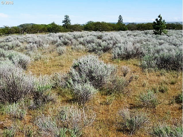 Ownby Road Goldendale, WA 98620 - Photo 3 of 20 Gallery Image 3