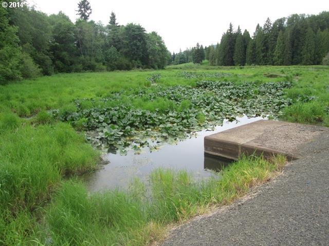 0 Pleasant Hill Road Kelso, WA 98626 - Photo 12 of 13 Gallery Image 12