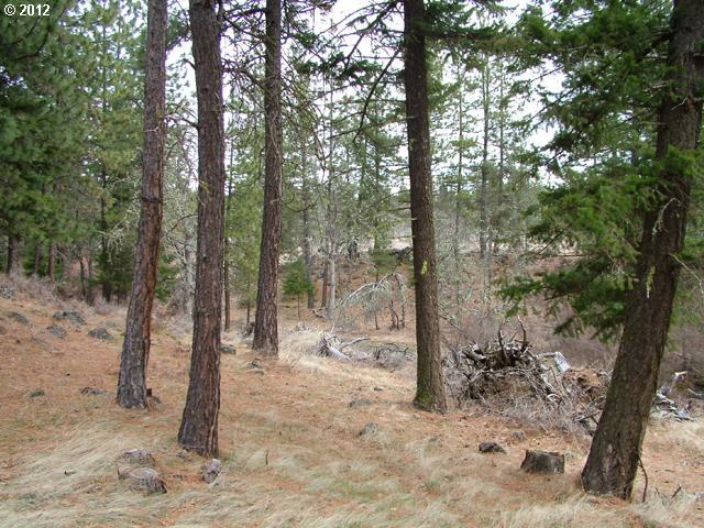 Austin Road Goldendale, WA 98620 - Photo 12 of 15 Gallery Image 12