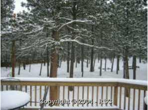 18275 Martingale Road Monument, CO 80132 - Photo 3 of 6 Gallery Image 3