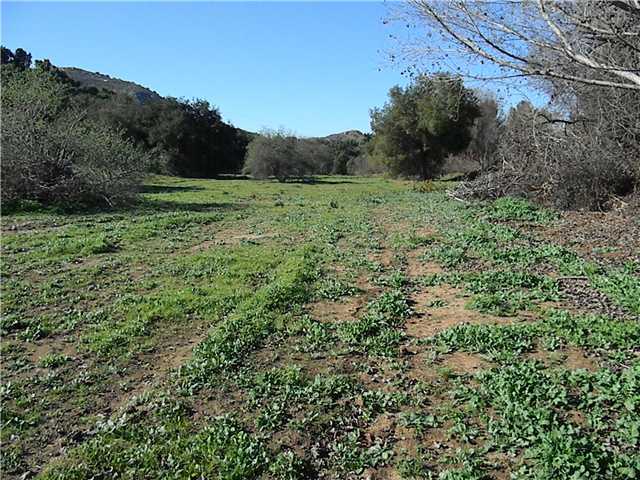 0 Couser Canyon Road Valley Center, CA 92082 - Photo 7 of 10