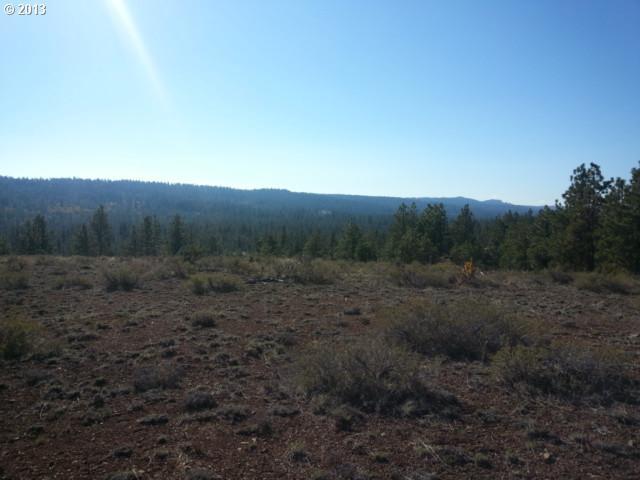 Pine Creek Road, Unit 5 Roosevelt, WA 99356 - Photo 8 of 16 Gallery Image 8