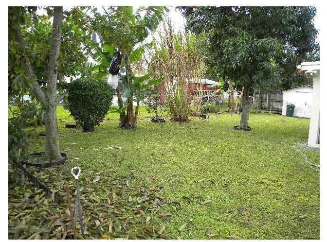 6730 Cleveland Street Hollywood, FL 33024 - Photo 4 of 15