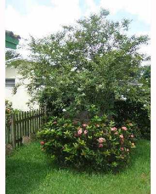 6741 Southwest 3rd Street Margate, FL 33068 - Photo 16 of 16
